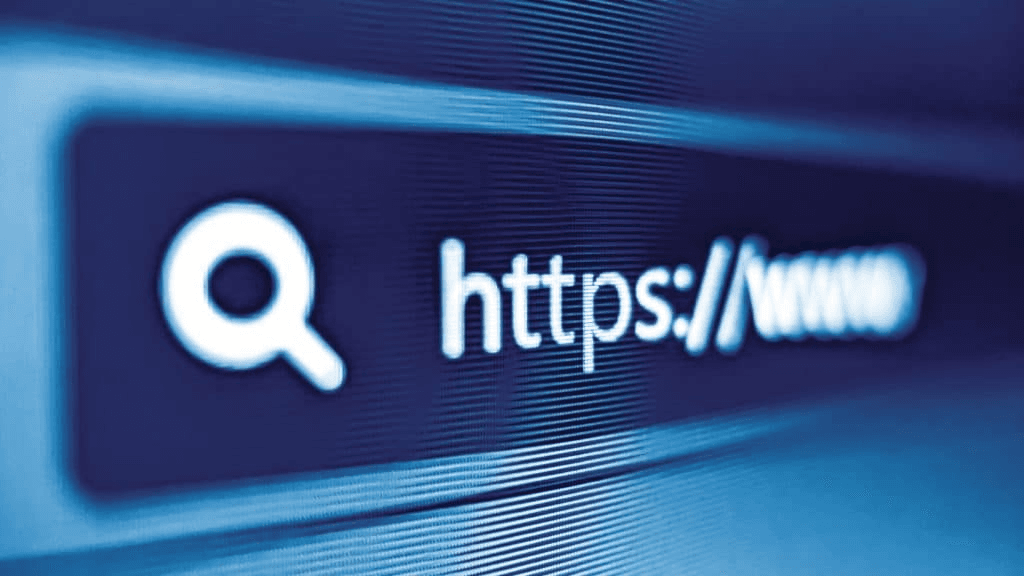 TikTok sem conta, monitoramento TikTok